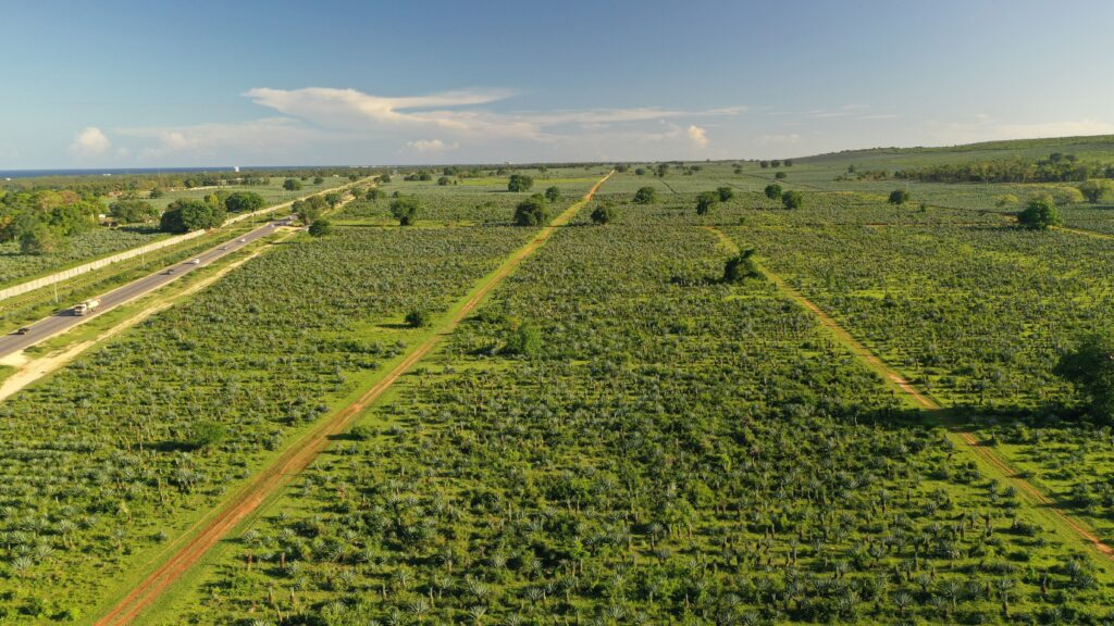 Vipingo Business Park