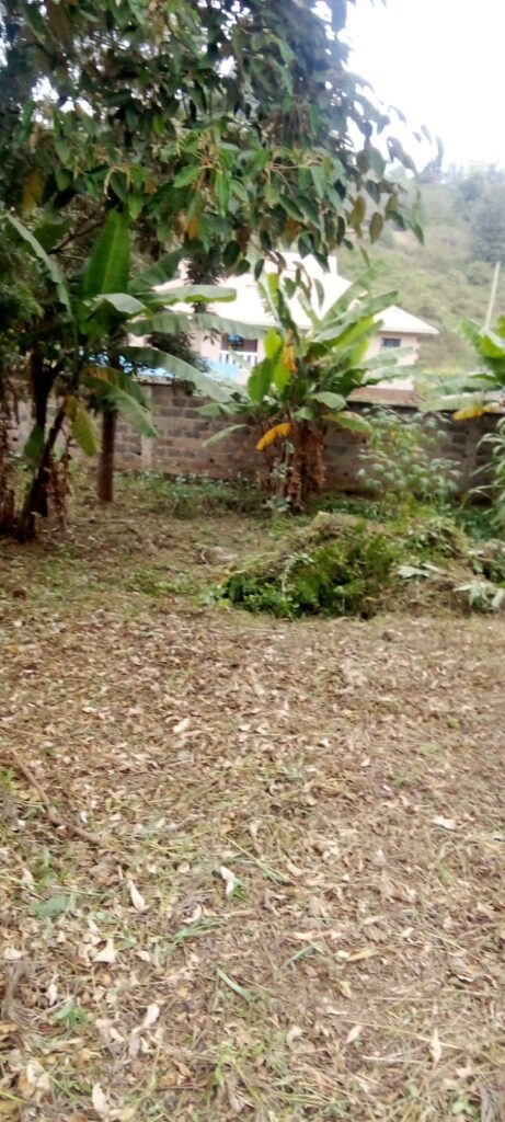 Plot for Sale in Ngong